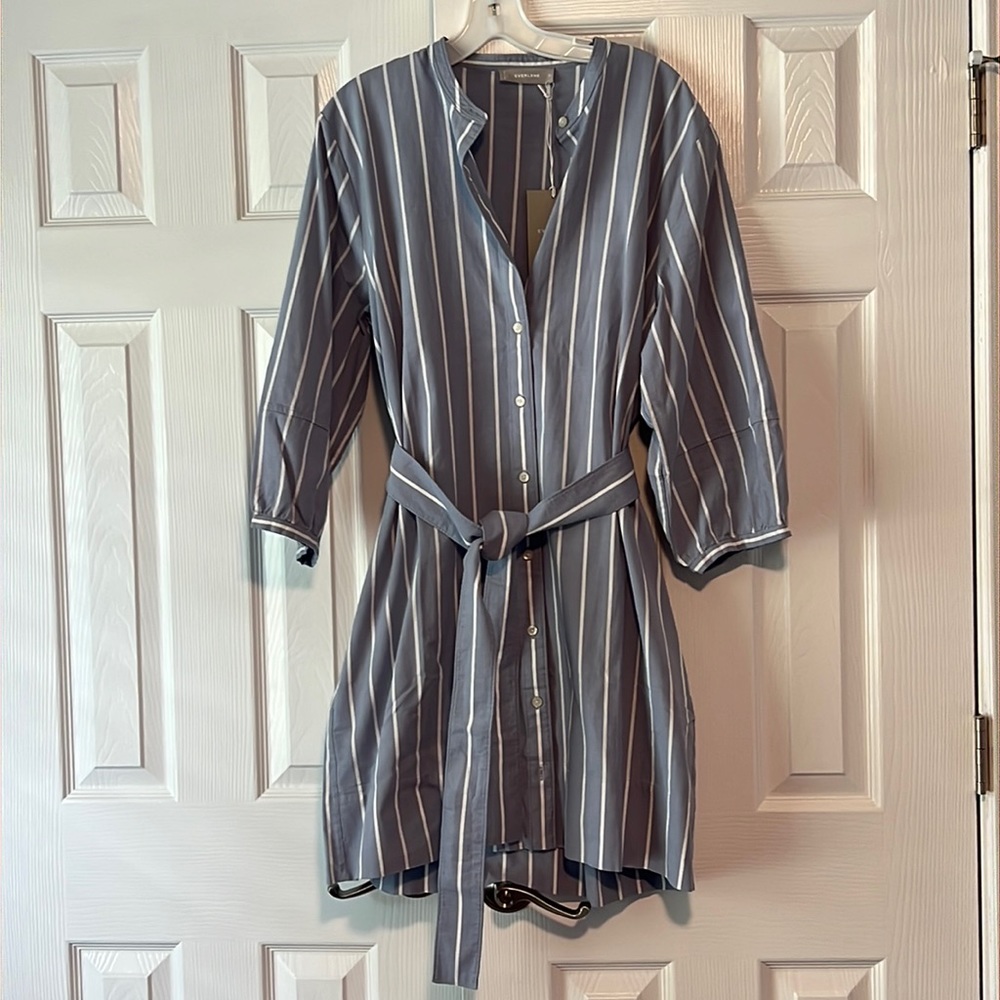 Everlane Blue Striped Shirt Dress